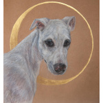 The light dog/ Светлая собака