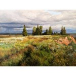 oil paintings