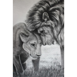 everything is drawn in pencil