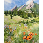 watercolor drawings