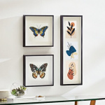 Beautiful butterfly watercolor painting 1