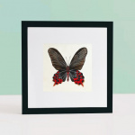 Beautiful butterfly watercolor painting 3