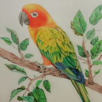 Drawing a bird with crayons