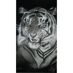 Black pen drawing of a tiger model